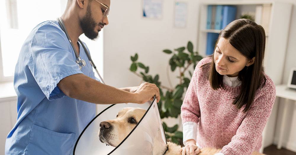 Una Nueva (Neutering/Spaying Event) 2023